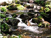 Benevskaya waterfalls, Primorsky Kray. (16)