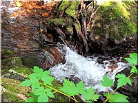 Benevskaya waterfalls, Primorsky Kray. (19)