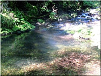 Benevskaya waterfalls, Primorsky Kray. (5)