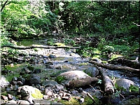 Benevskaya waterfalls, Primorsky Kray. (7)