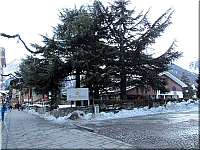 Courmayeur (221)