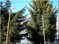 Courmayeur (25)