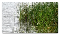 Lake_in_Andreyevka