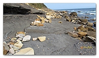 Beach stones (20)