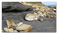 Beach stones (21)