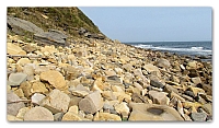 Beach stones (24)