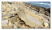 Beach stones (35)