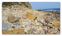 Beach stones (47)