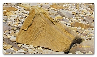 Beach stones (48)