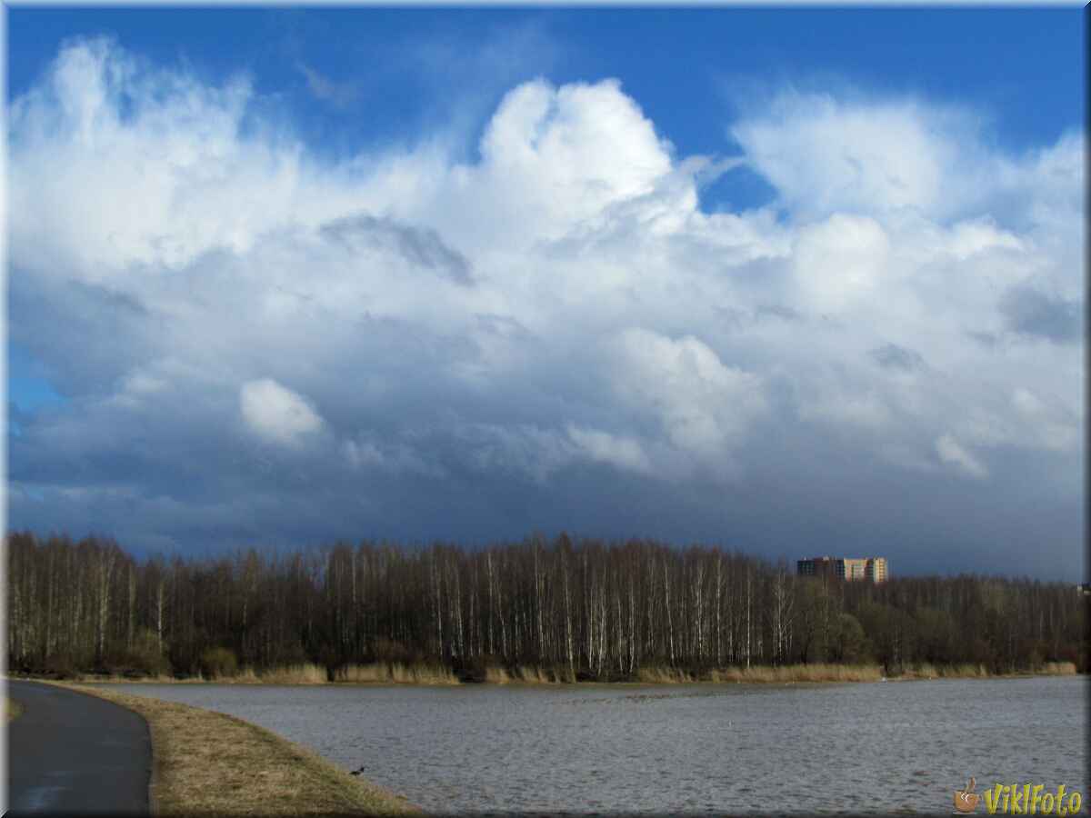  Южно Приморский парк. Санкт-Петербург, апрель, 2017г.