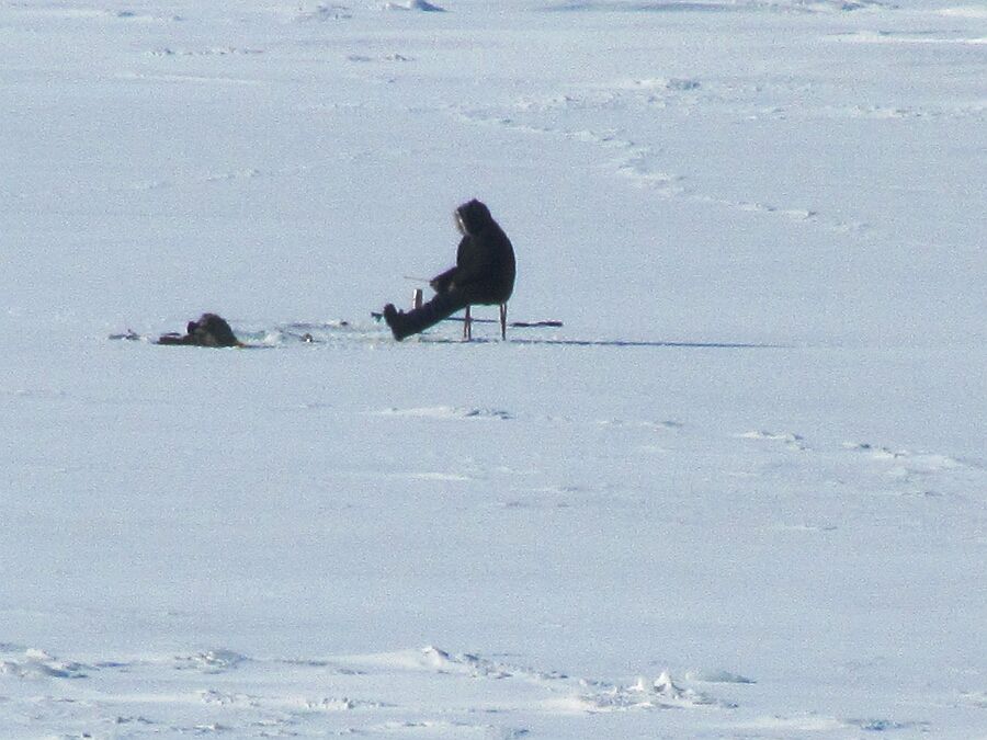 Амурский Залив. Вид. 1 января 2018 г.