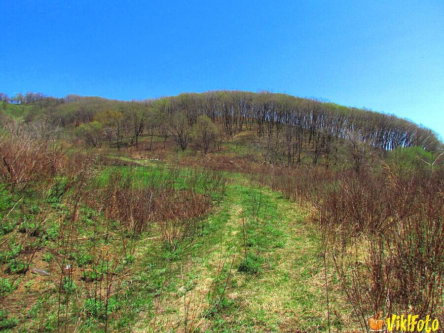 Фото весенних видов природы около Находки, май 2019 г.