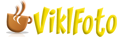 ViklFoto logo