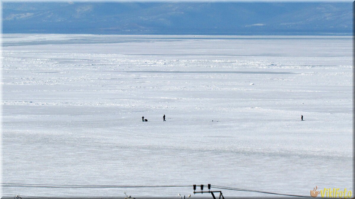 Амурский залив сайт. Лед на заливе. Амурский залив зимняя рыбалка. Лед на заливе фото. Стаи ворон на льду Амурского залива.